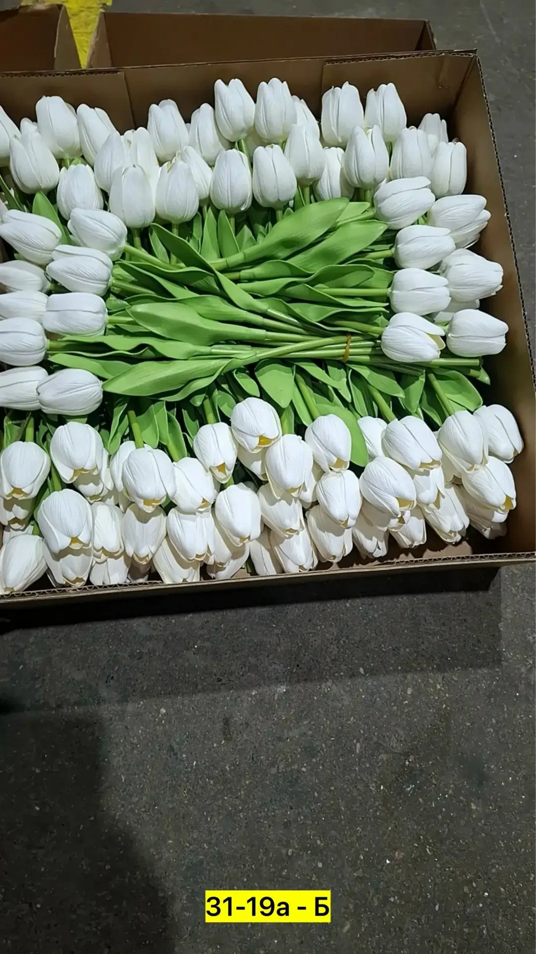 https://vk.com/photo-184814919_493444330