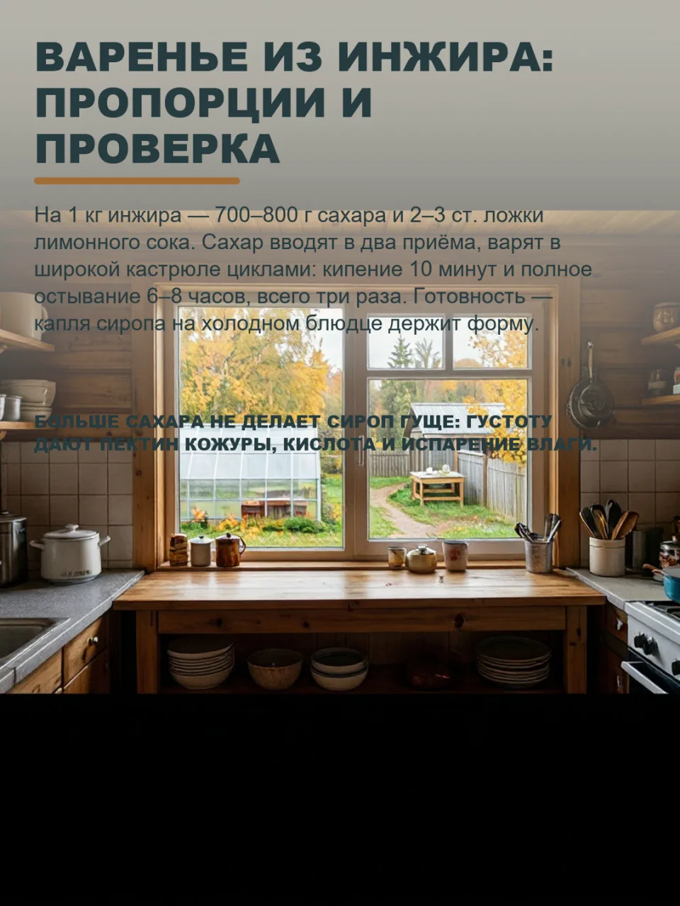 ПОЧЕМУ ВАРЕНЬЕ ИЗ ИНЖИРА НЕ ГУСТЕЕТ, ЕСЛИ САХАРА ПОЛОЖИТЬ БОЛЬШЕ НОРМЫ?