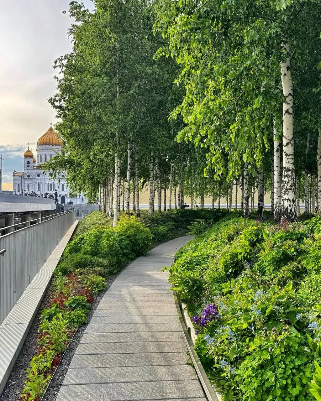 Березовая роща в центре столицы   На зеленом склоне растут березы, папоротники, земляника, ромашки и