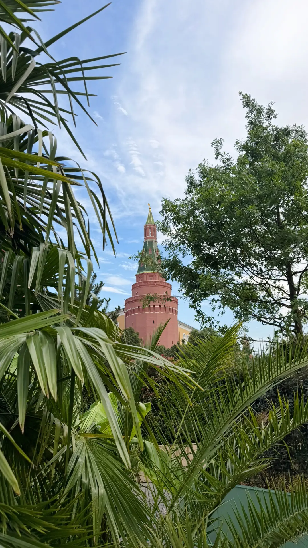 Московские джунгли.