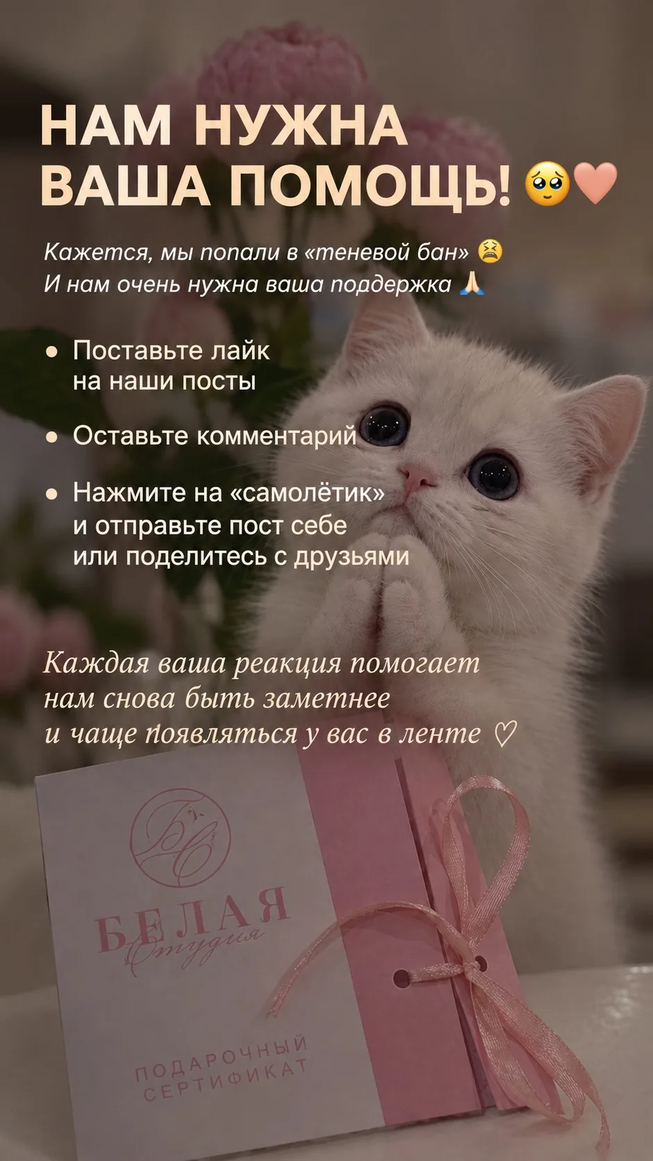 НАМ НУЖНА ВАША ПОМОЩЬ! 🥹❤️