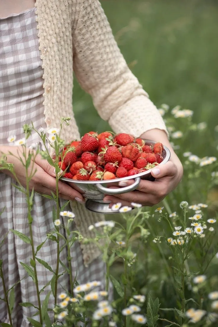 Жизнь — это коллекция моментов. Собирайте с удовольствием!🍓