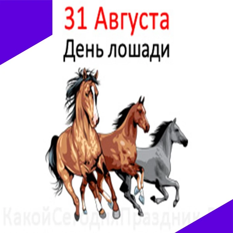 Верному другу и помощнику человека посвящен очередной тематический день – 31 августа, Д...