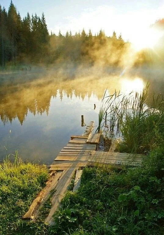 ☀️Доброе субботнее утро! ✨