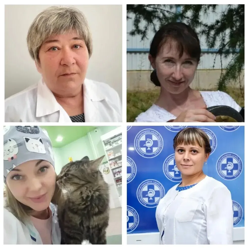 Ветеринары участвуют в конкурсе «Гордость земли Иркутской»