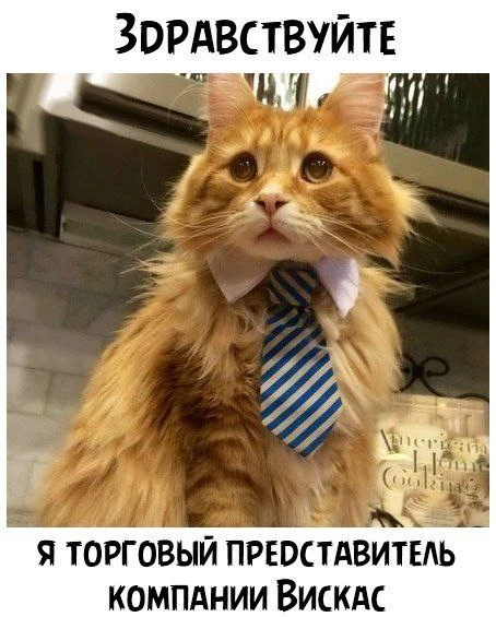 Подпишись на юмор 😂