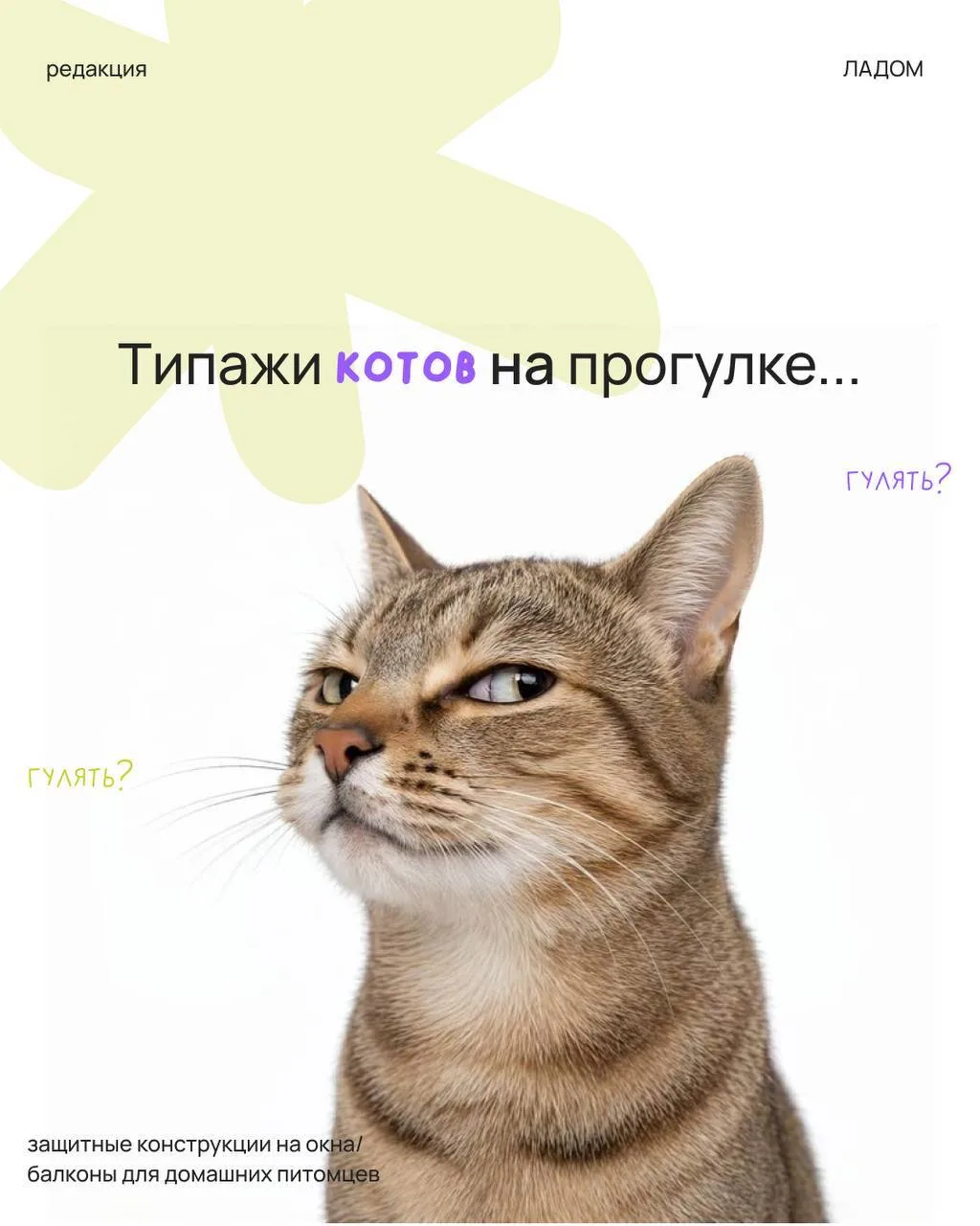 нуууу