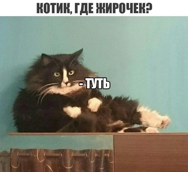 Мемные котьки