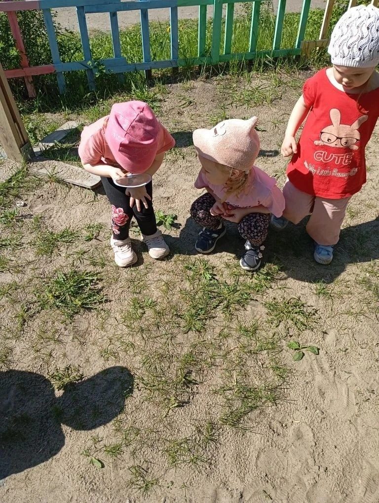 🐞Маленькие исследователи: дети на прогулке изучают мир насекомых
На свежем воздухе ребята с восторг