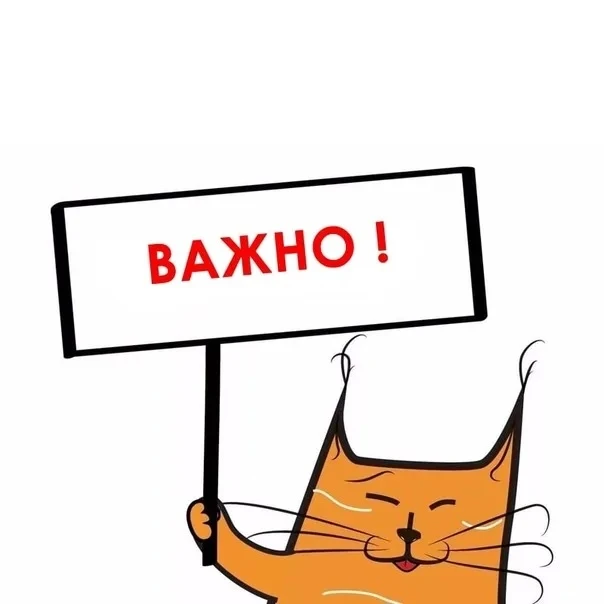 Наш основной канал по прогнозам кстати: