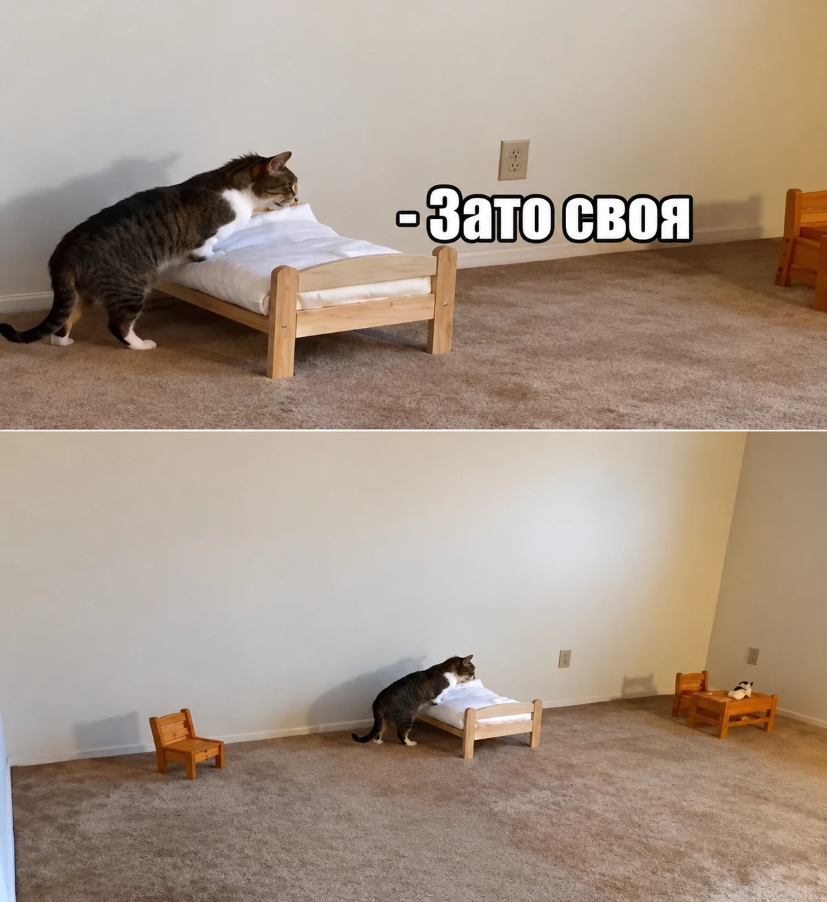 Квартир с готовой отделкой в московских новостройках стало меньше — их число за год сни...