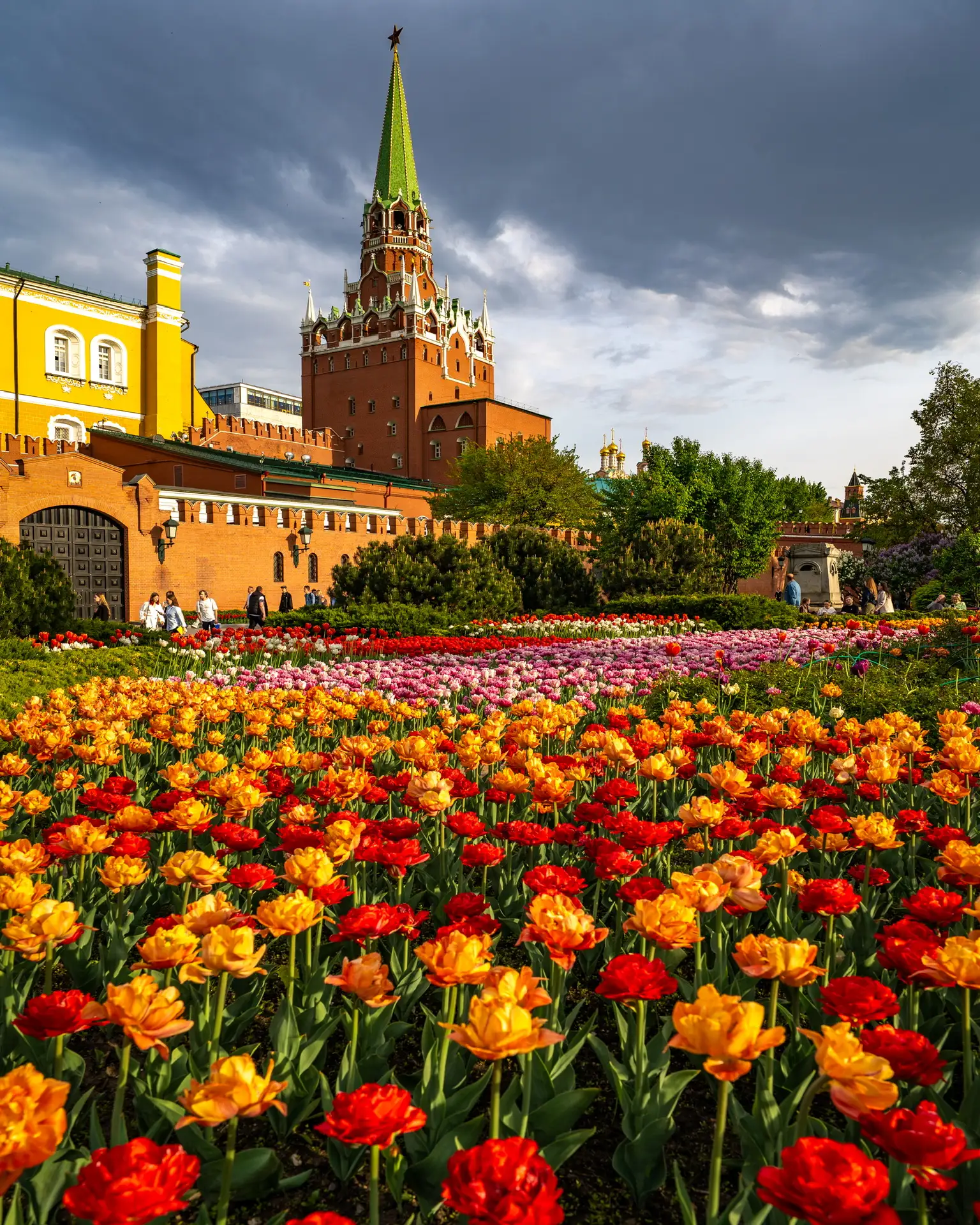 Тизер мая 💐🌺🪻