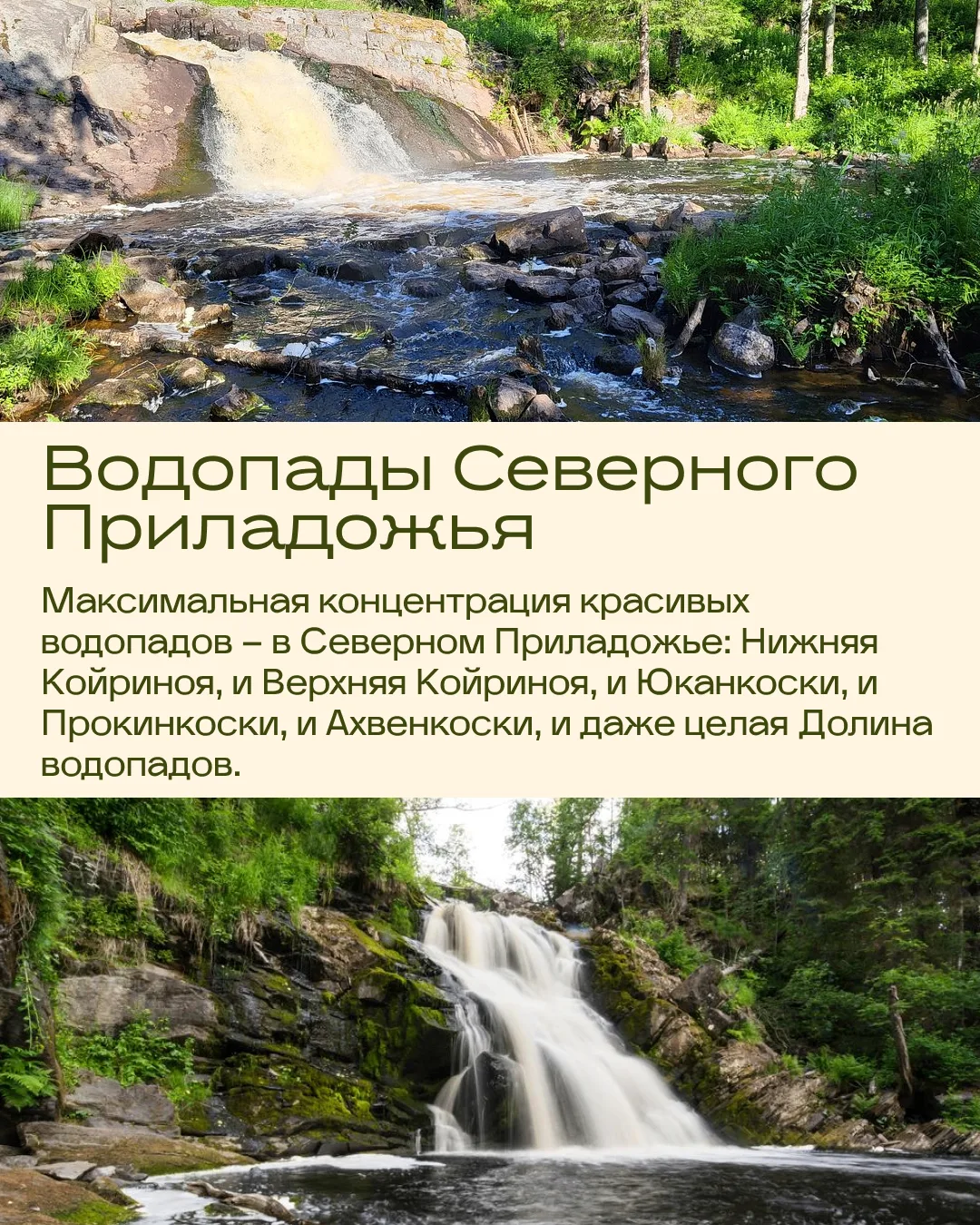 Весна в Карелии — особенное время, когда природа просыпается и все вокруг играет новыми красками 🌼Та