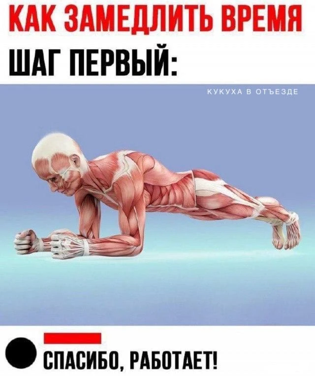 Кукуха в отъезде 🐦