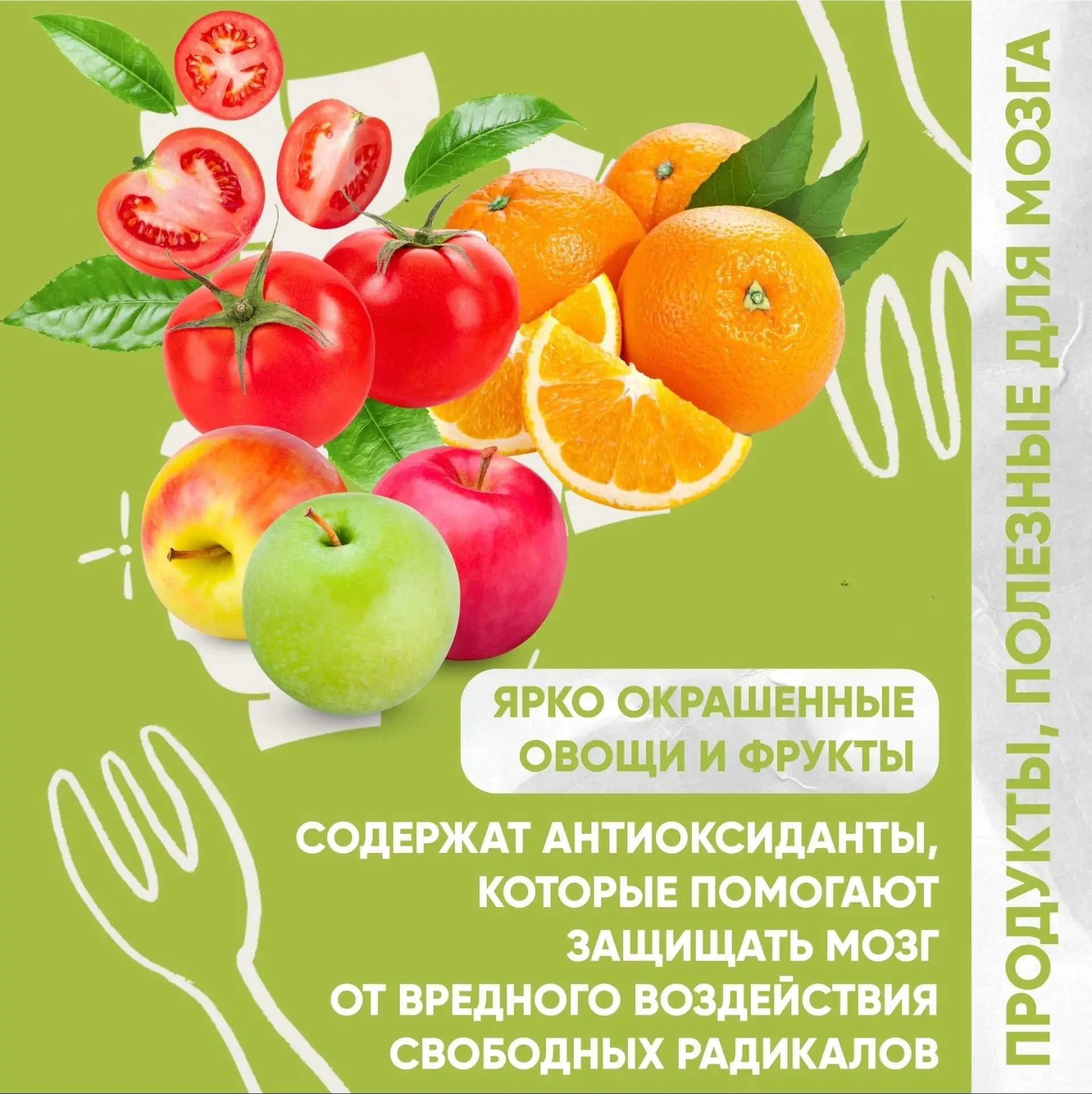 ✅Продукты, полезные для здоровья мозга 

🥑Белок – основной источник строительных материалов, причём