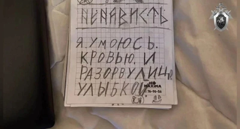 Восемь участников неонацистской группировки из Красноярска получили условные сроки