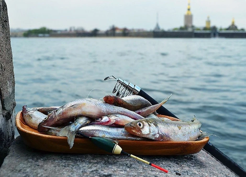 Походу день удался!!!
