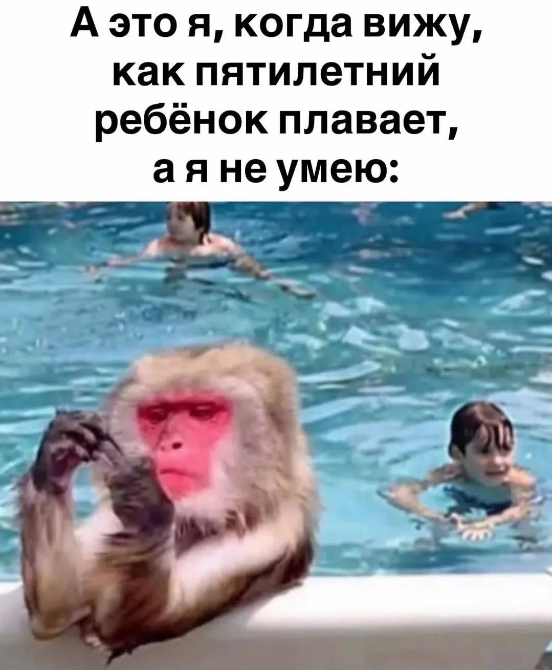🌚 Делитесь вашими любимыми мемами, смешными картинками и видео в комментариях!