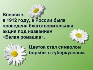 В рамках проведения профилактических мероприятий по борьбе с туберкулезом в группе ВОЭТ-251 прошла б