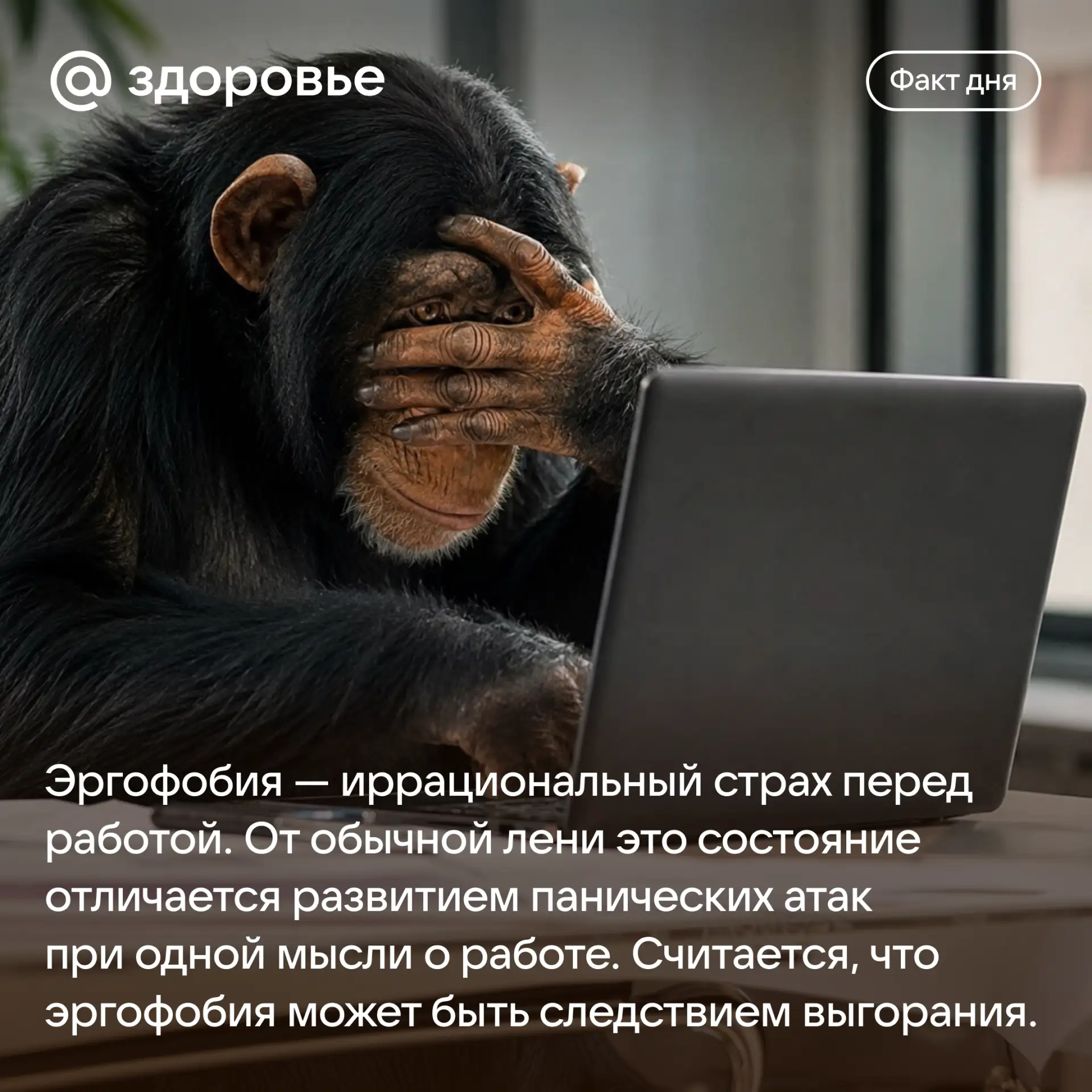 Хорошего дня! 😊