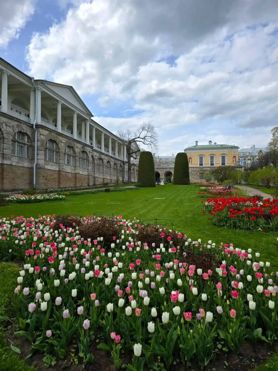 🌷 Екатерининский парк расцвёл пёстрыми тюльпанами  Яркие клумбы превратили его в настоящую весеннюю 