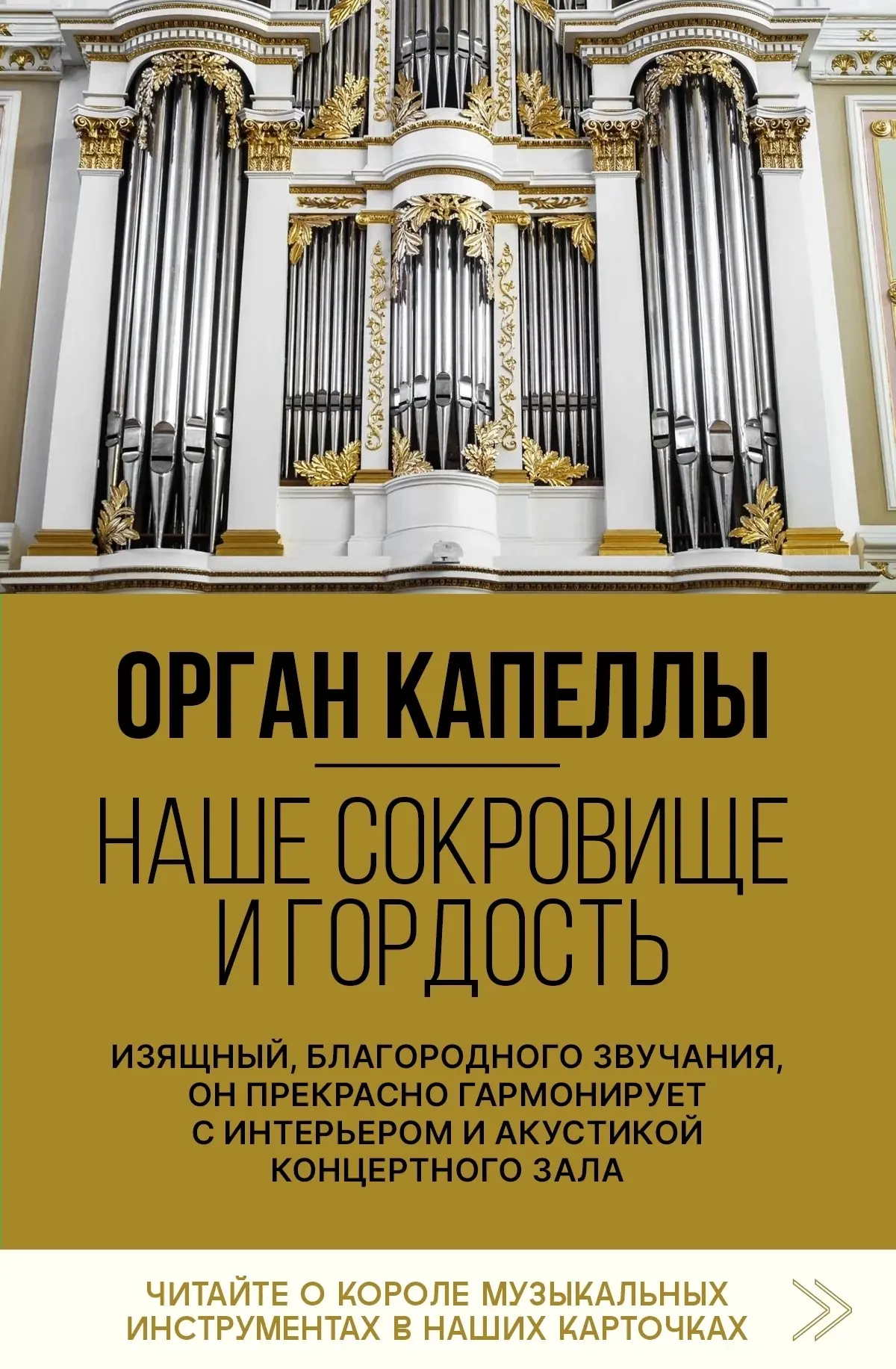 Орган Капеллы — памятник истории, архитектуры и звука. Свидетель эпох, великий голос, к...