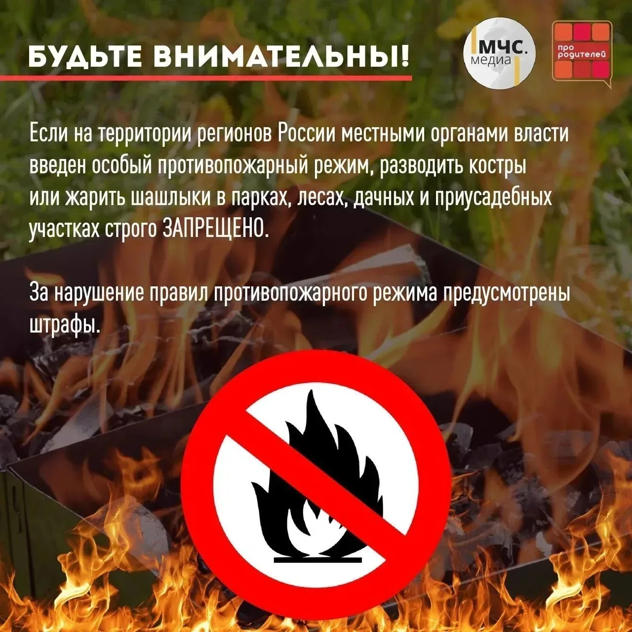 🌿Безопасные майские праздники!