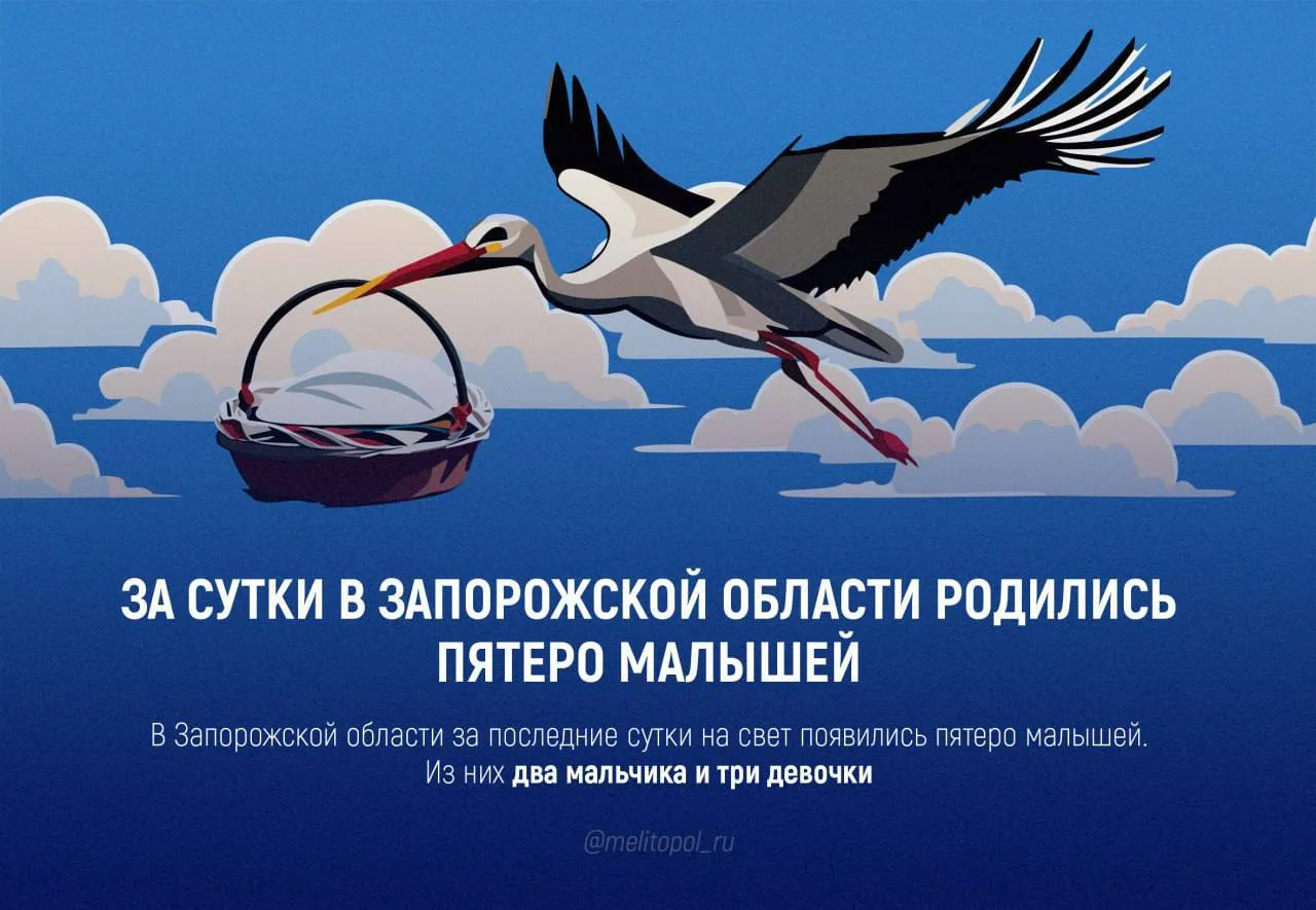 В Запорожской области за сутки родились пять малышей
