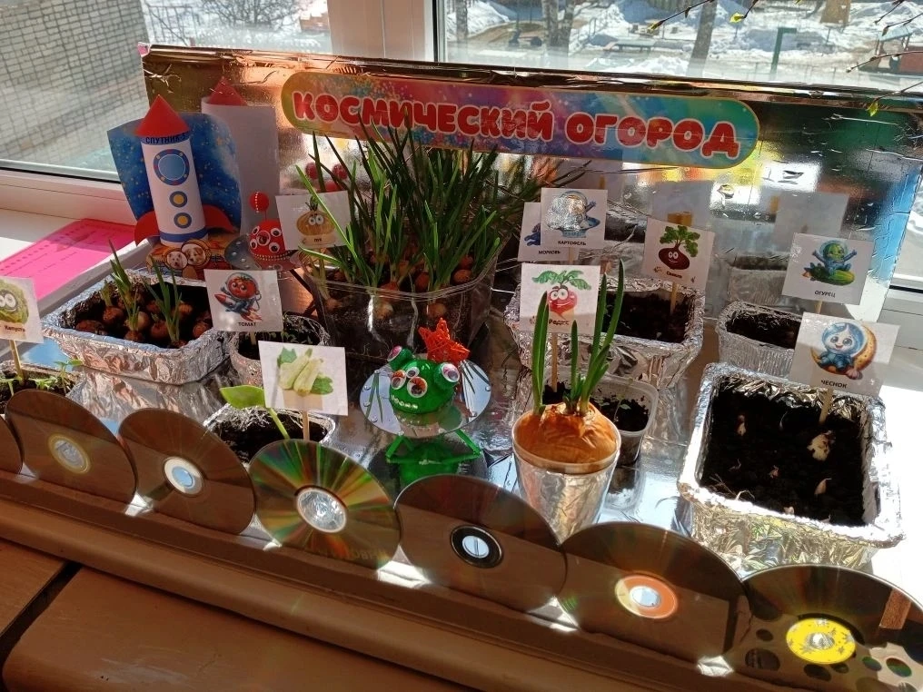 🥦Космический огород🚀🥦
