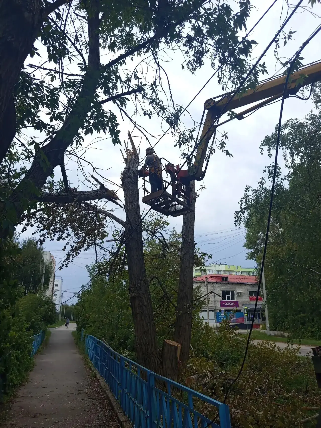 Порядок в городе начинается не только с чистых улиц и дворов. Важно следить и за состоя...