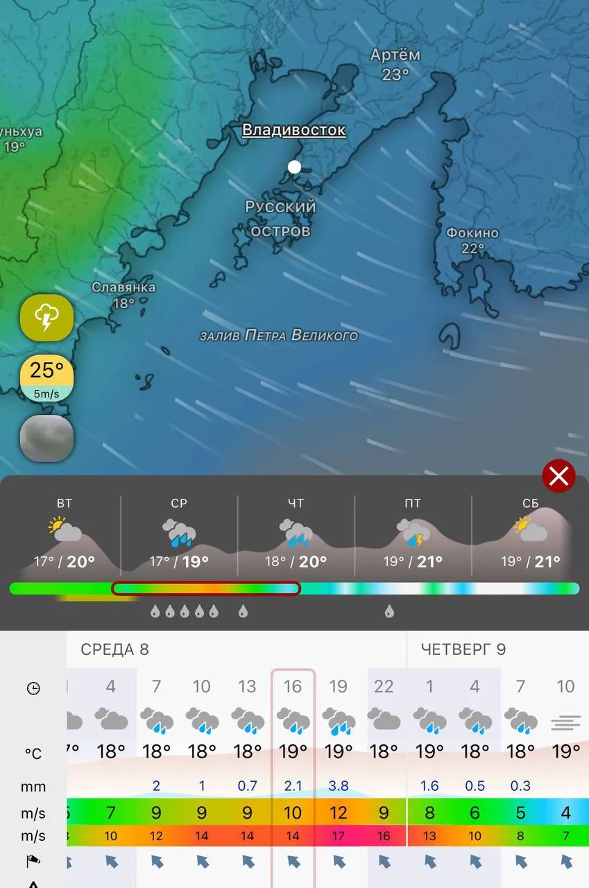 ☔️До 40 миллиметров дождя обрушится на Владивосток за два дня