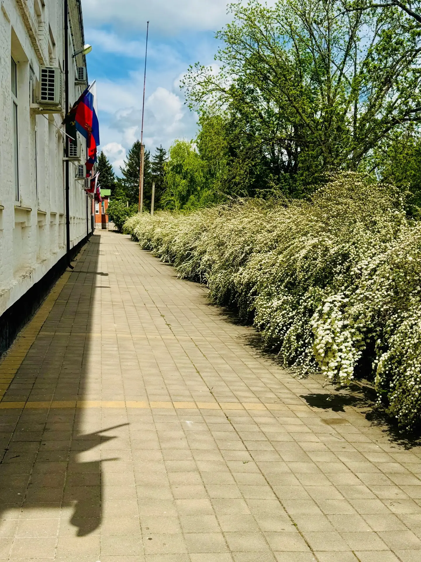 Головокружительный май  Цветёт и пахнет Каневской район — весна наконец-то вступила в свои права. На