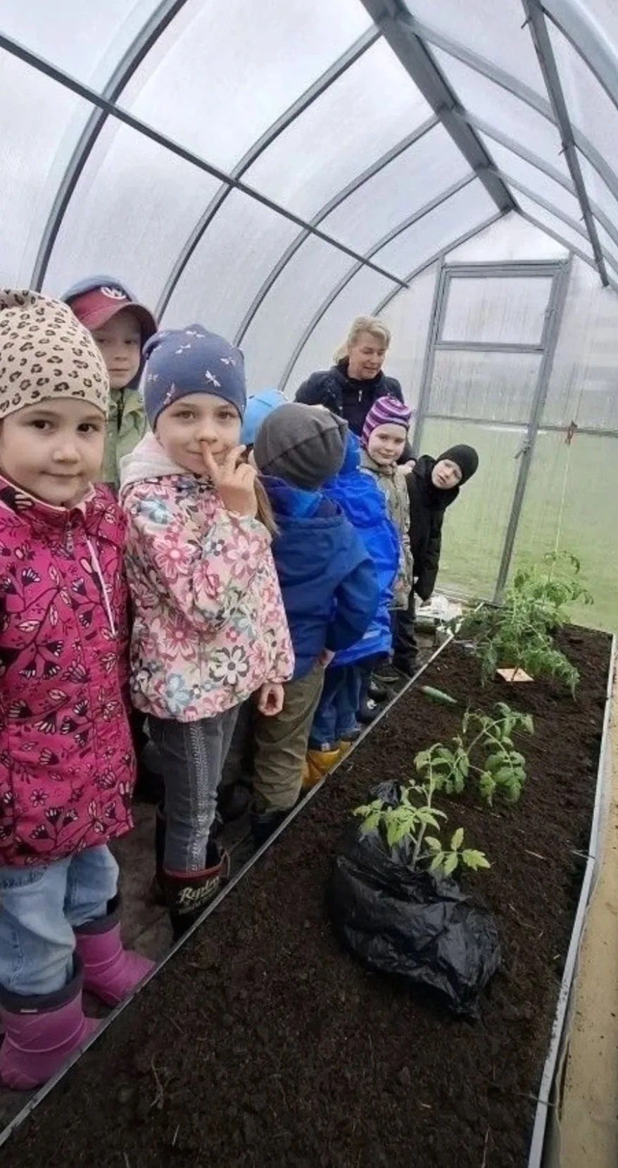 🌱"Зелёный десант": дети из старшей и подготовительной групп дали старт новому урожаю🍀!