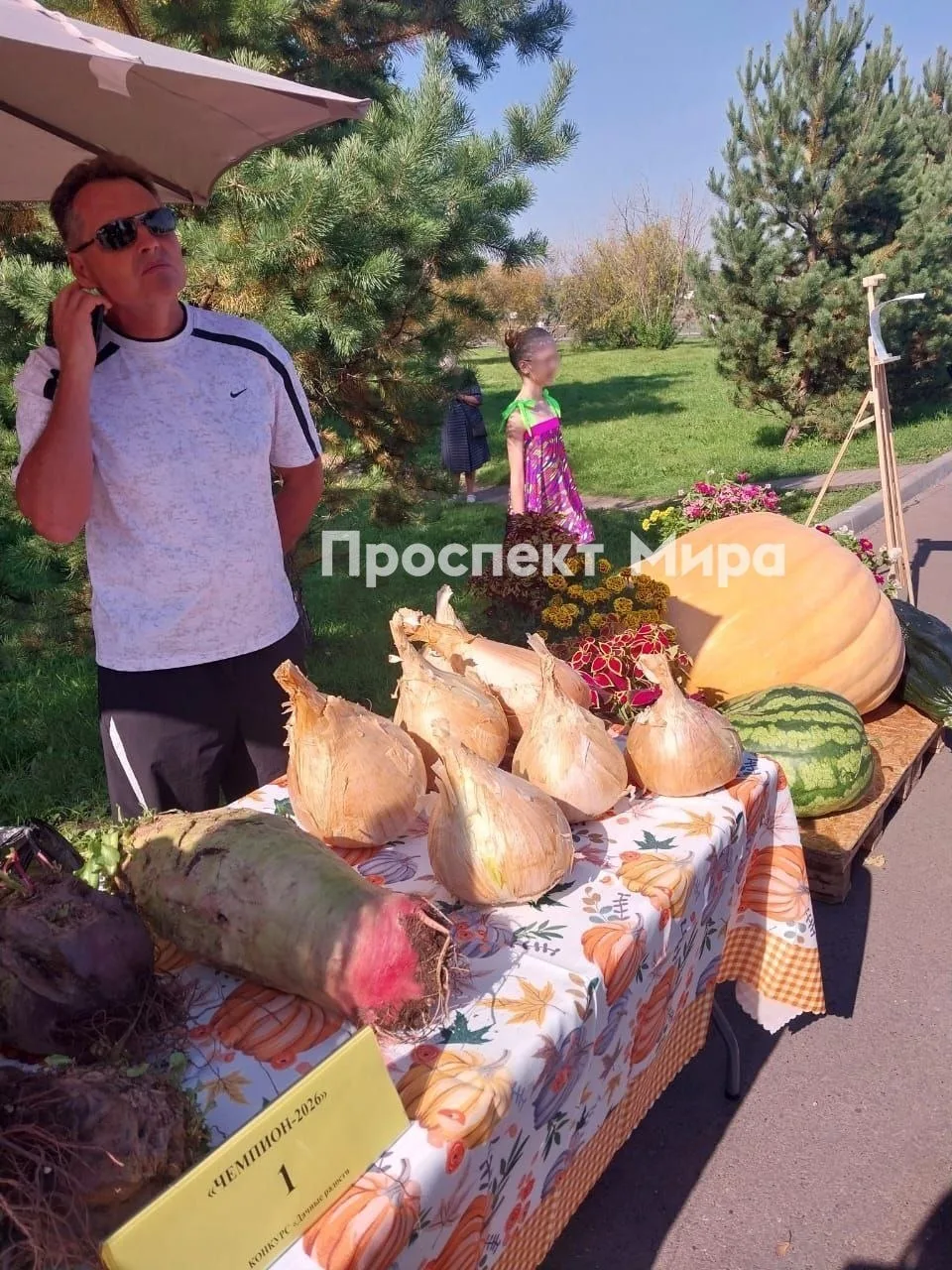 🧅 Лук размером с футбольный мяч вырастили в Красноярске