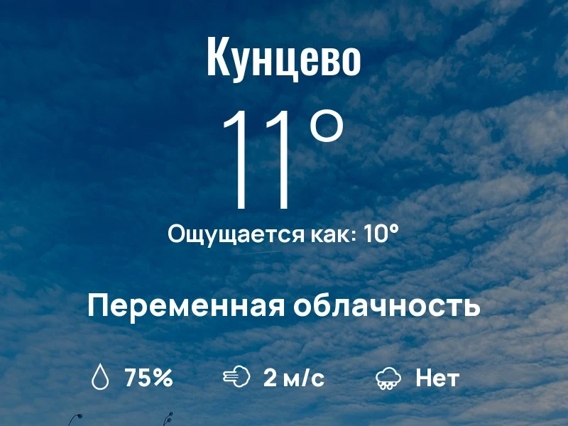 Что с погодой в Кунцево?