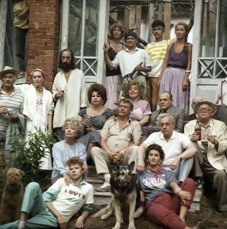 🎬 Владимир Зельдин, Ольга Барнет, Алла Ларионова, Всеволод Ларионов, Петр Щербаков, Ки...