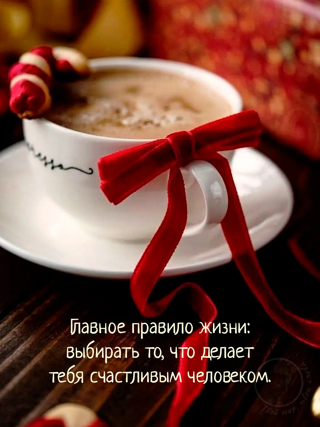Твой мир, твои слова
