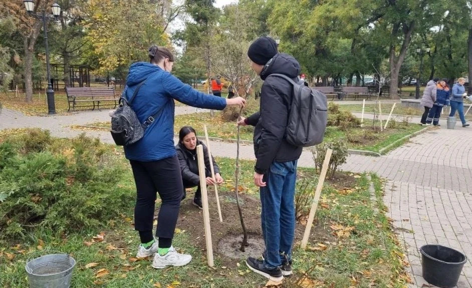 🌳 В Таганроге высадят более 560 деревьев и кустарников