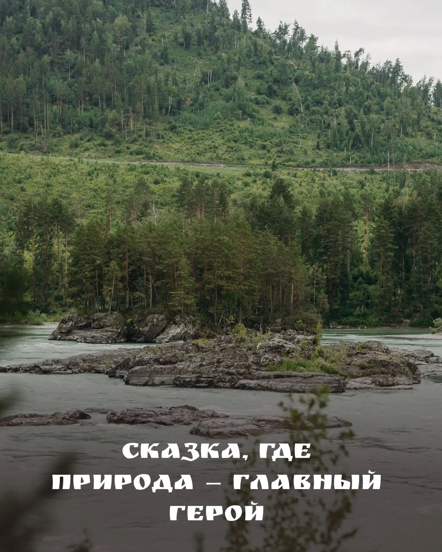Представьте: вы просыпаетесь в «Любаве», открываете окно — и слышите не городской шум, ...
