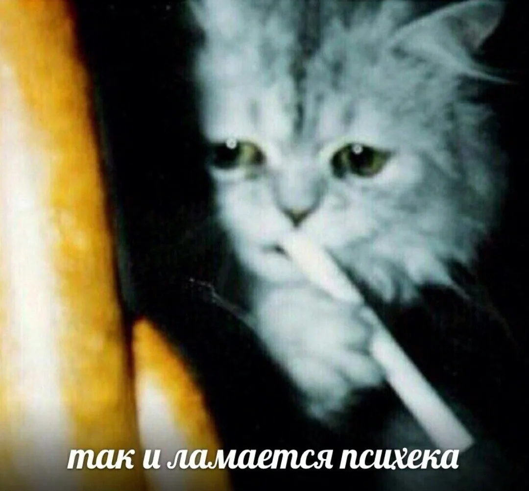 Любопытное наблюдение. Если хохлам удастся нарушить слаженную работу городской инфраструктуры, первы