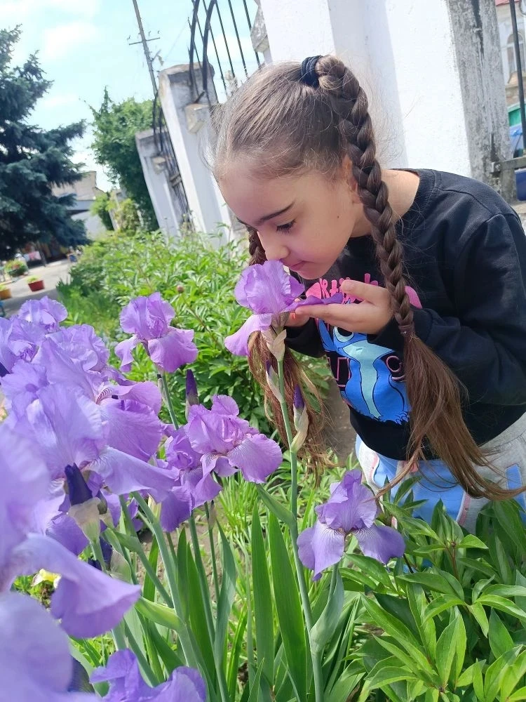 ✨️Как прекрасно весеннее пробуждение природы! В это время года ни одна прогулка не обхо...