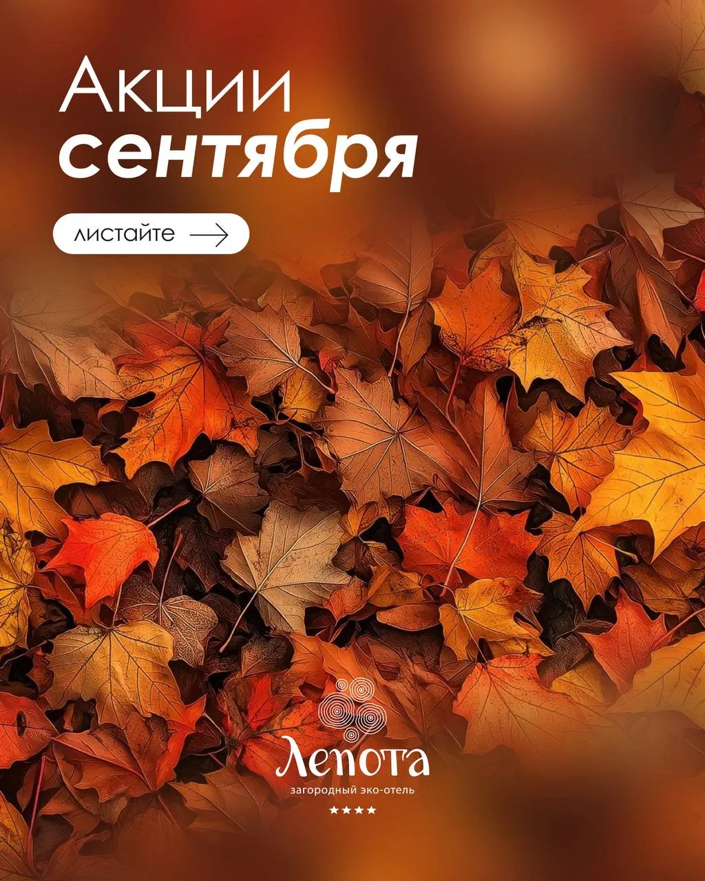 Лето закончилось, но это не повод грустить! 😉