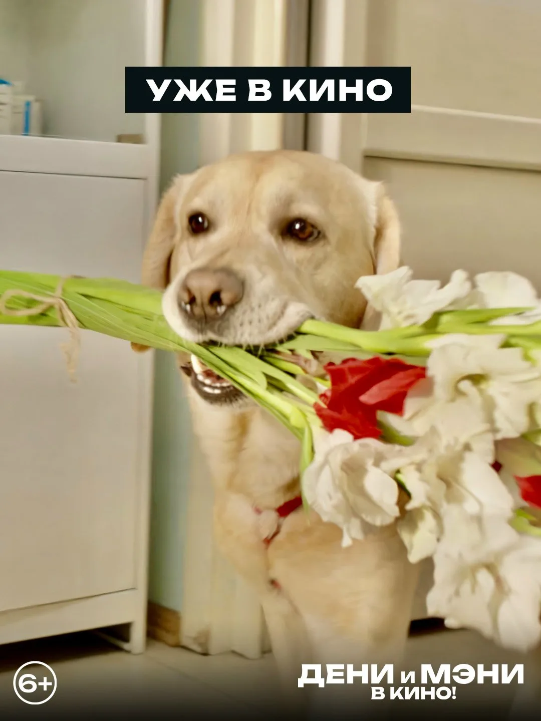 Приглашаем всех на семейную комедию «Дени и Мэни. В кино!».