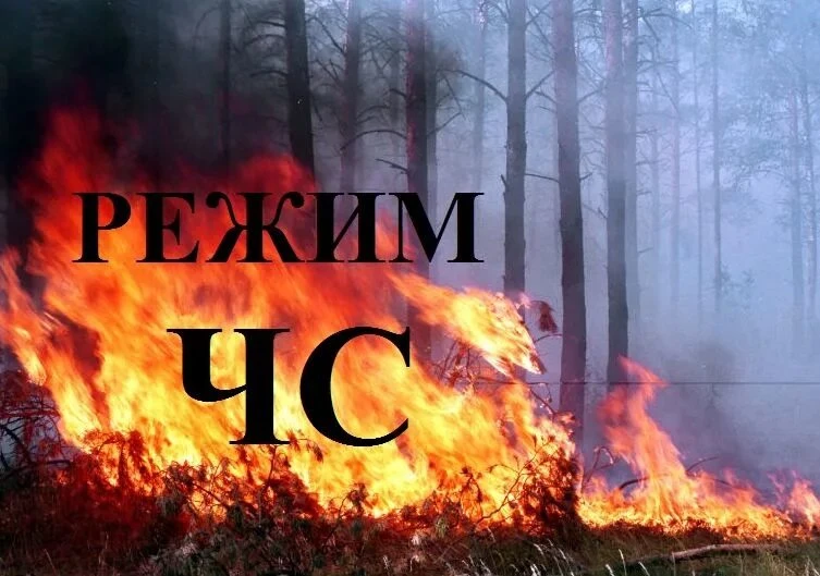 🔥 В Томской области ввели режим чрезвычайной ситуации в лесах из-за пожаров. 

Причиной ухудшения о