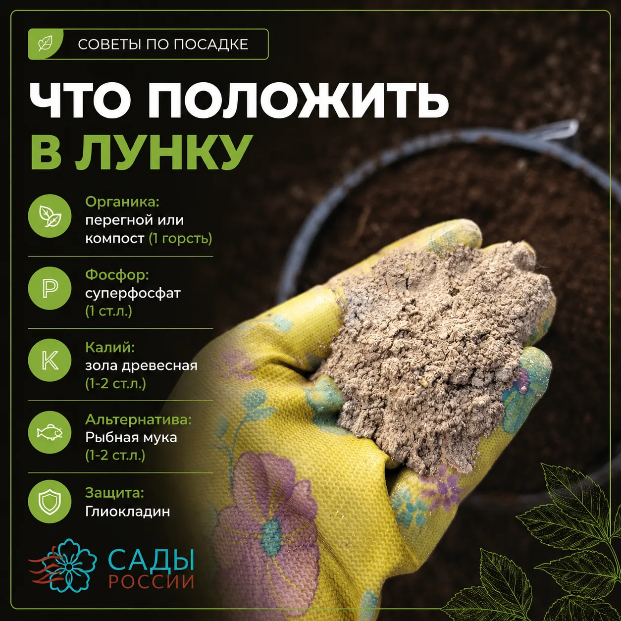 ВРЕМЯ ВЫСАДИТЬ ТОМАТЫ В ТЕПЛИЦУ!  Друзья-огородники, рассада готова к переезду! Чтобы получить мощны