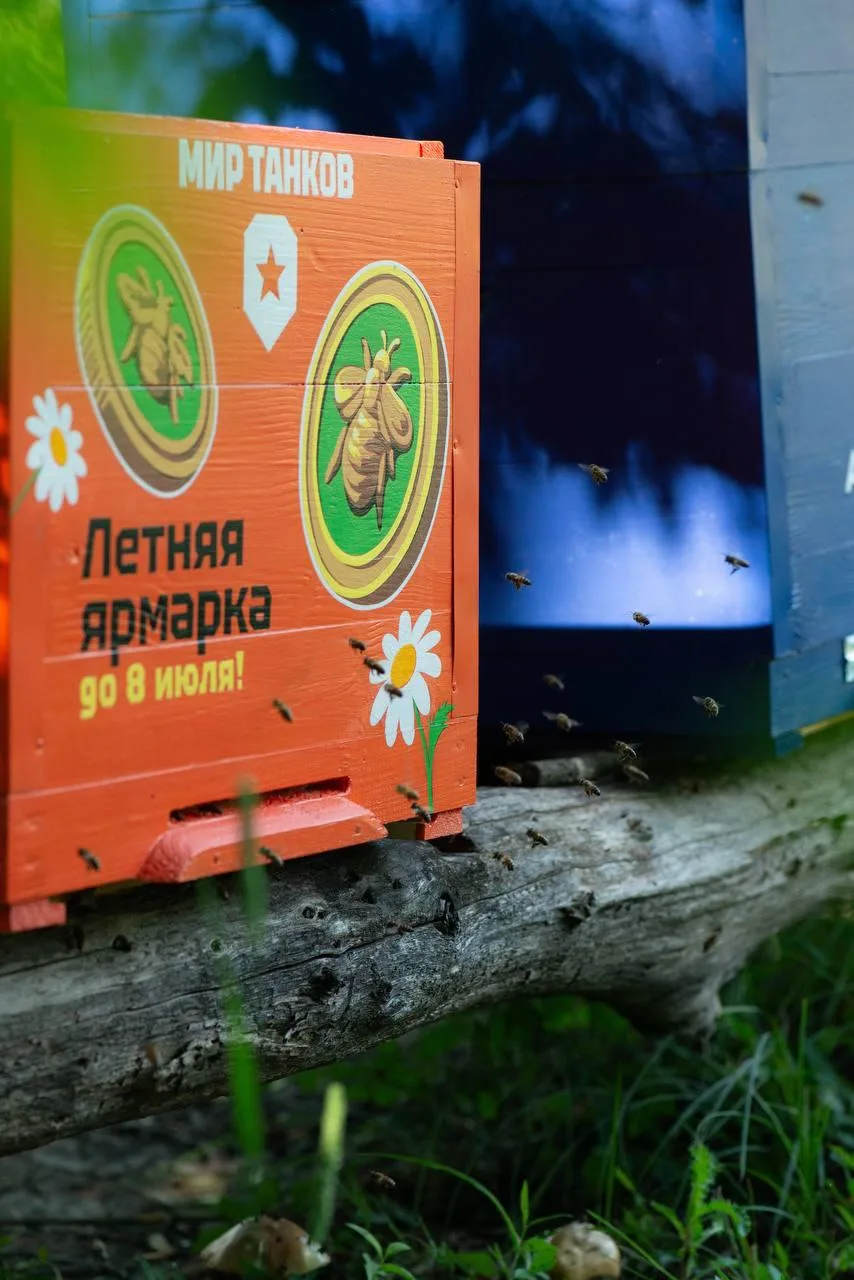 Изображение 3 к публикации «Леста Игры»