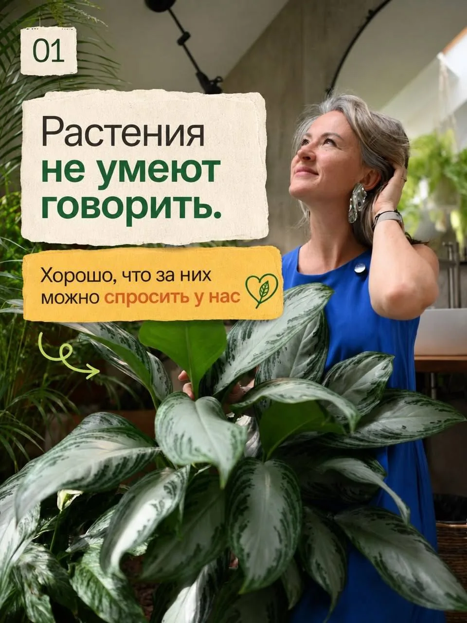 Изображение 1 к публикации «О жизни и растениях | Дом соломинки»