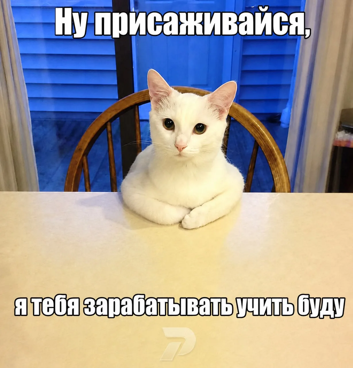 Есть тема на обсудить, присаживайся