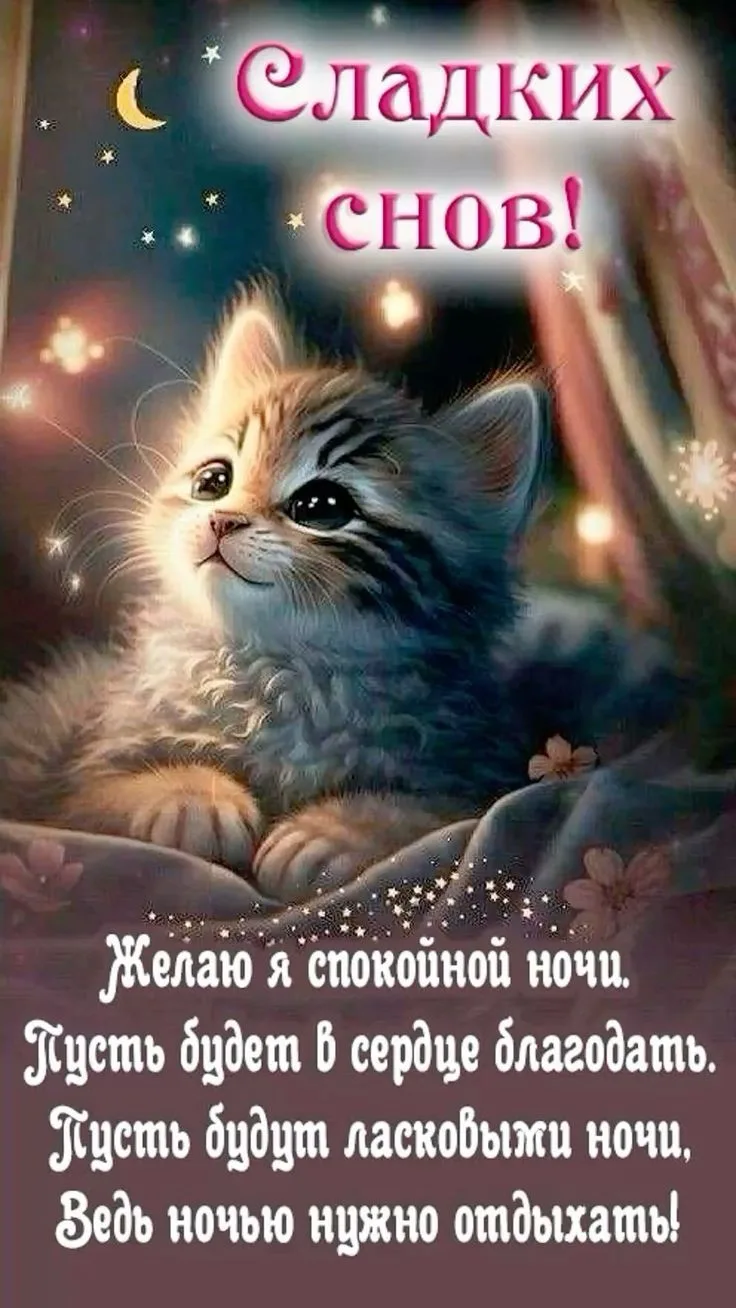 Открытки дня❤️