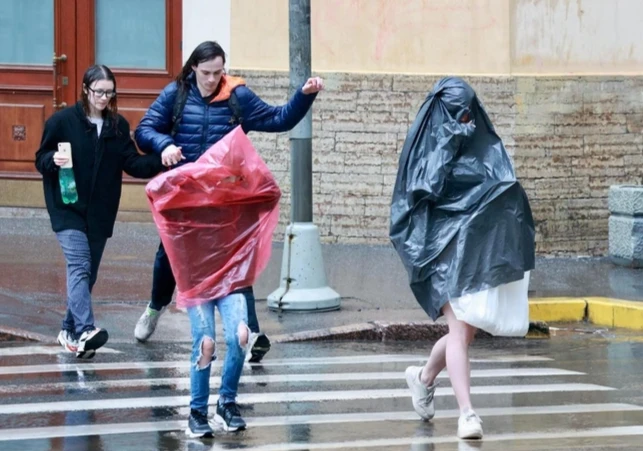 Большая вода

До 13 литров воды на метр площади может выпасть в Москве сегодня во второй половине дн